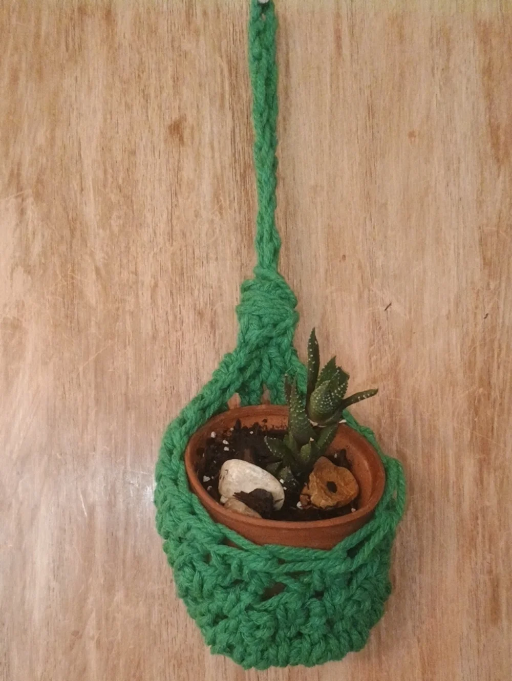 Handmade air plant